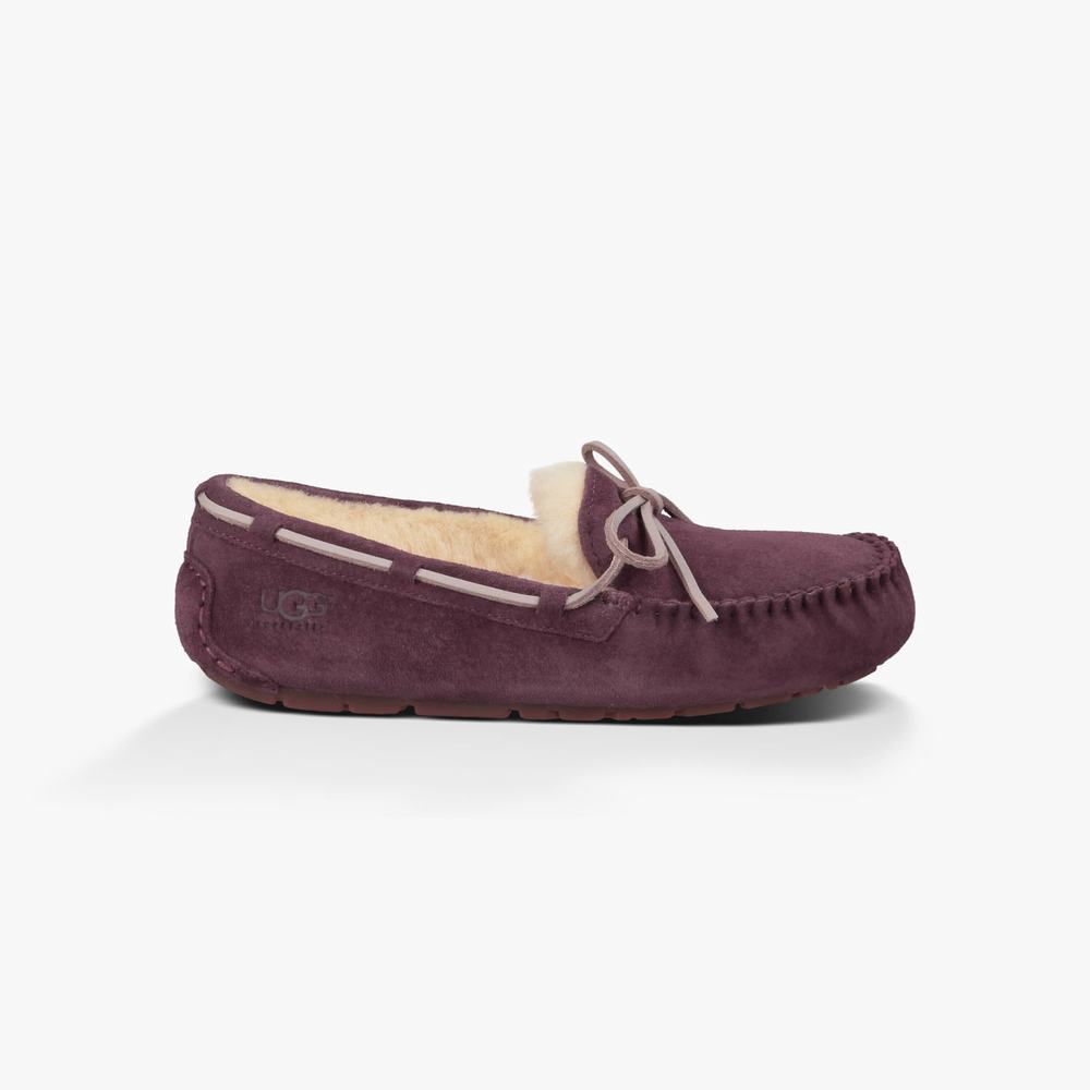 Mocassin UGG Dakota Slip-On Femme Violette Soldes 685HZFKP